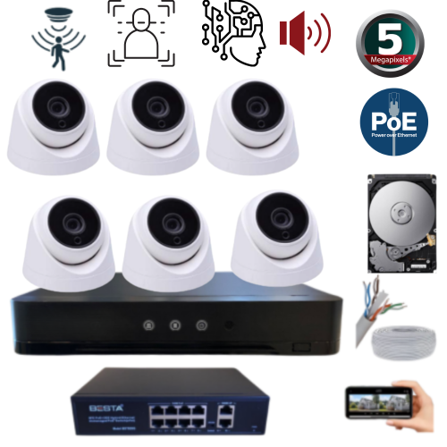 ARNA 6 KAMERALI GECE RENKLİ YAPAY ZEKA GERÇEK 5 MP 1 TB HDD DAHİL İÇ MEKAN GÜVENLİK SETİ - ST651B