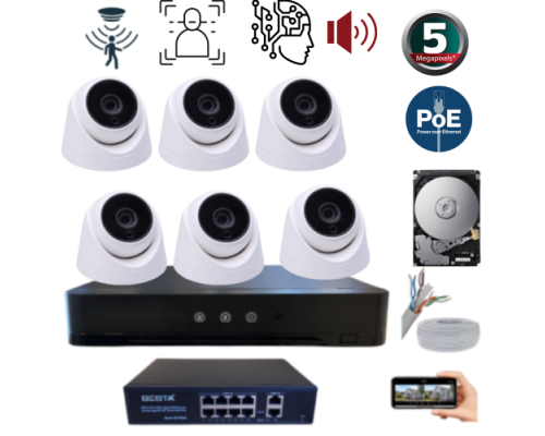 ARNA 6 KAMERALI GECE RENKLİ YAPAY ZEKA GERÇEK 5 MP 250 GB HDD DAHİL İÇ MEKAN GÜVENLİK SETİ - ST65250